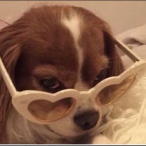 Meet your Posher, Bryan